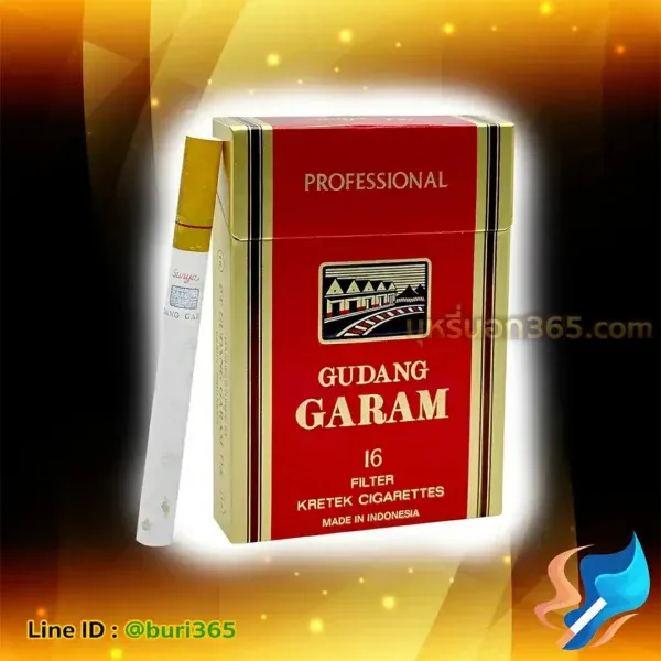 บุหรี่นอก กาแรม 16 มวน