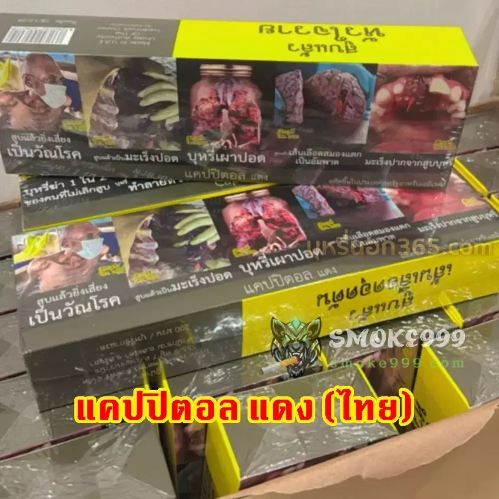 Capital แคปปิตอล แดง (ไทย) ซองแข็ง